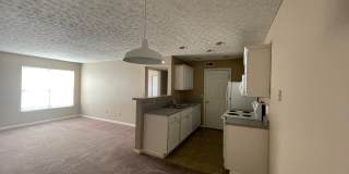 5448 Cypress Chase Gallery 6