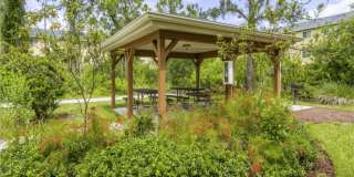 Heron Pond - 55+ Apartments Gallery 9