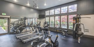 LionsGate North Gallery 22