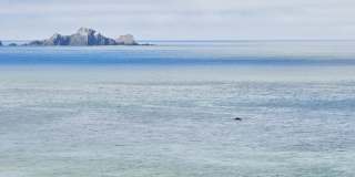 Oceanaire Apartment Homes Oceanaire Apartment Homes Gallery 39