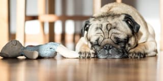 Los Alisos at Mission Viejo Gallery 18