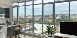 Lex and Leo at Waterfront Station Gallery 17