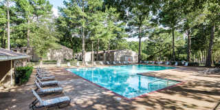 Sycamore Lake Gallery 2