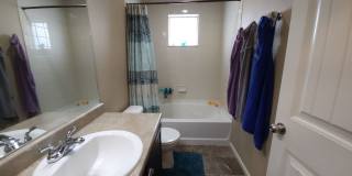 8392 Longleaf Lane Gallery 15