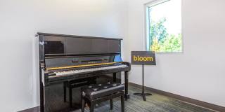 Bloom Gallery 23