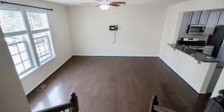 5004 FOREST PINES Drive Gallery 11