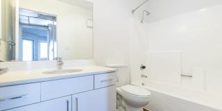 The Encore Gallery 15