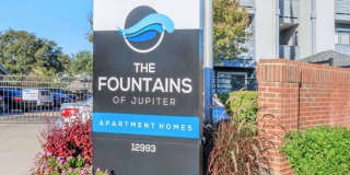 Fountains of Jupiter Gallery 1