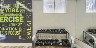 Forest Cove Gallery 23