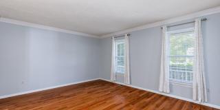 2807 CHAPMAN Court Gallery 7