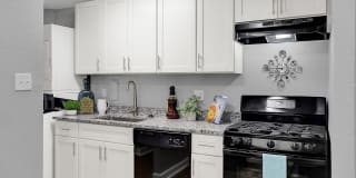 Verona at Silver Hill Gallery 30