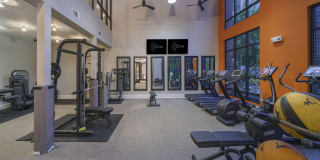 The Collection Gallery 49