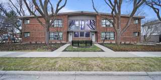 ONE11 COLLECTION - ROYAL OAK Gallery 49