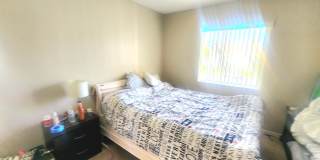 310 Knotty Pine Circle Gallery 7