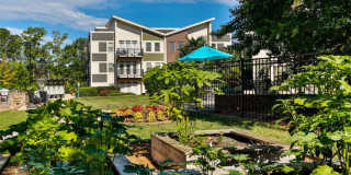 Vyne On Central Gallery 8