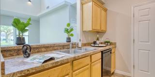 Silver Springs Gallery 2