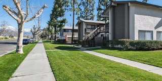 Portola Redlands Gallery 21