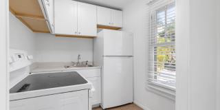 204 Conniston Road Gallery 6