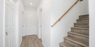 BRAND NEW! Gallery 6
