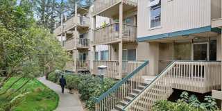 375 Mandarin Dr # A Gallery 9