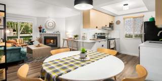 Scout apartments Gallery 6