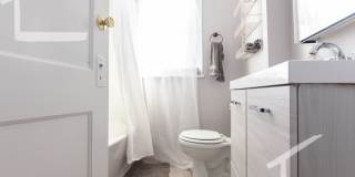 Nice 4 bed next to the green line in Allston Gallery 11