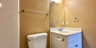 Viewable Now! Gallery 29