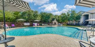 Saddle Creek and The Cove Saddle Creek and The Cove Gallery 26