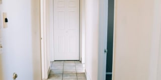 SMALL DOG FRIENDLY!!!  Meadow Street House Gallery 18