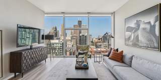 Aston Chicago Gallery 6