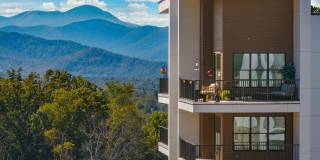 Ellison at the Preserve Gallery 7