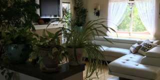 Adorable 2 bed/2 bath home in Southwest Longmont! Gallery 10