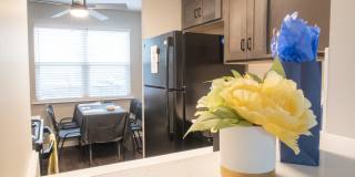 Ohio Street Townhomes Gallery 3
