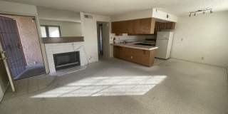 4181 Gannet Circle #241 4181 Gannet Circle #241 Gallery 10
