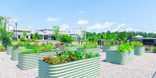 Inspire Brunswick Forest - 55+ Active Adult Community Gallery 36