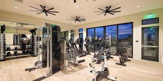 2456 E Encanto Paseo Gallery 22