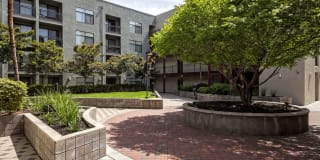 Avalon at Cahill Park Gallery 17