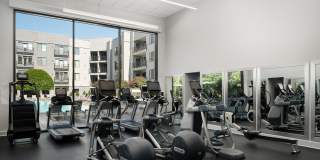 AVE Clifton Gallery 13