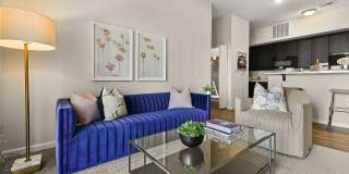 Alkire Meadows Gallery 7