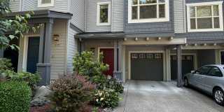 5cart01 5cart01 Gallery 1