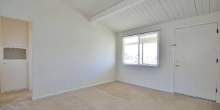 t2504 Gallery 7