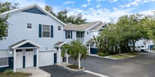 RiverTree Gallery 25