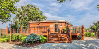 Treetop Lodge Apartments Gallery 12