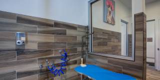 Deco Gallery 44