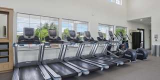 The Mason Gallery 34