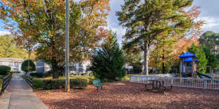 Adar at Golden Gate Gallery 7