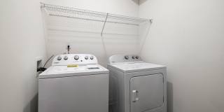 Arlow at Blue Ridge Gallery 17