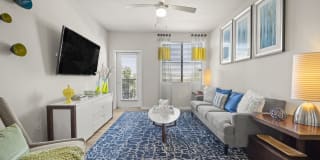 Olympus Steelyard Gallery 9