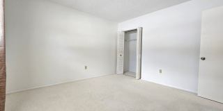 3 Bedroom 2 Bath Home in Safety Harbor Gallery 25