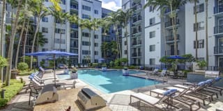 Solmar on Sixth Solmar on Sixth Gallery 4